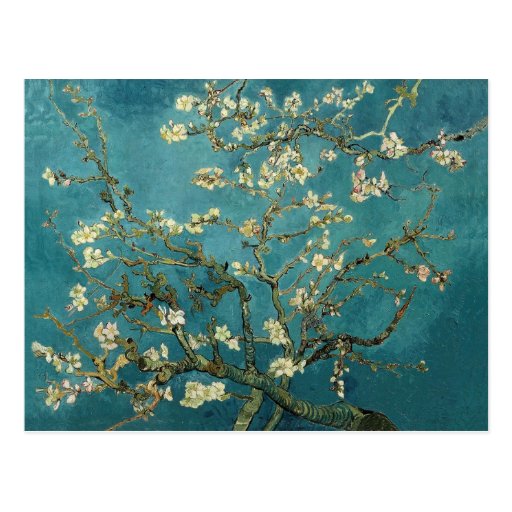 Image of Almond Blossom Postcard
