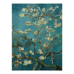 Almond Blossom Poster