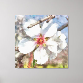 Almond Blossom Study Watercolor Painting Canvas Print