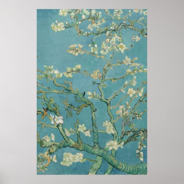 Almond Blossom  Vincent van Gogh 1890 Poster (Front)