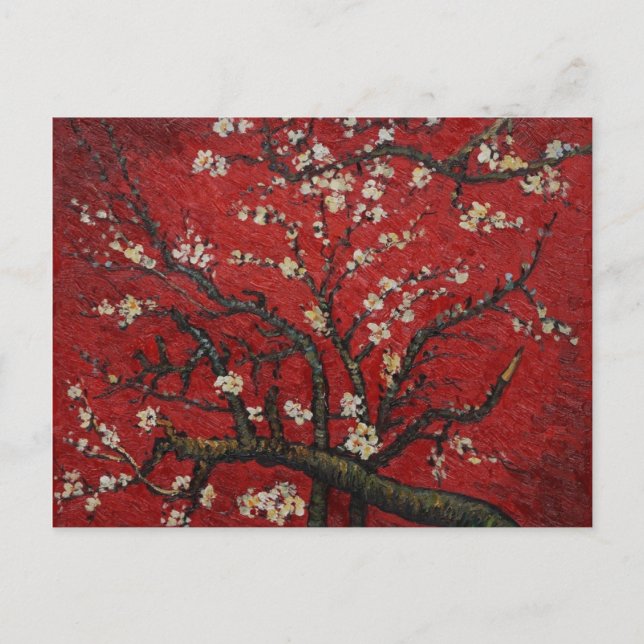 Almond Blossom Vincent Van Gogh Postcard (Front)
