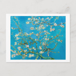 Almond Blossom, Vincent van Gogh Postcard