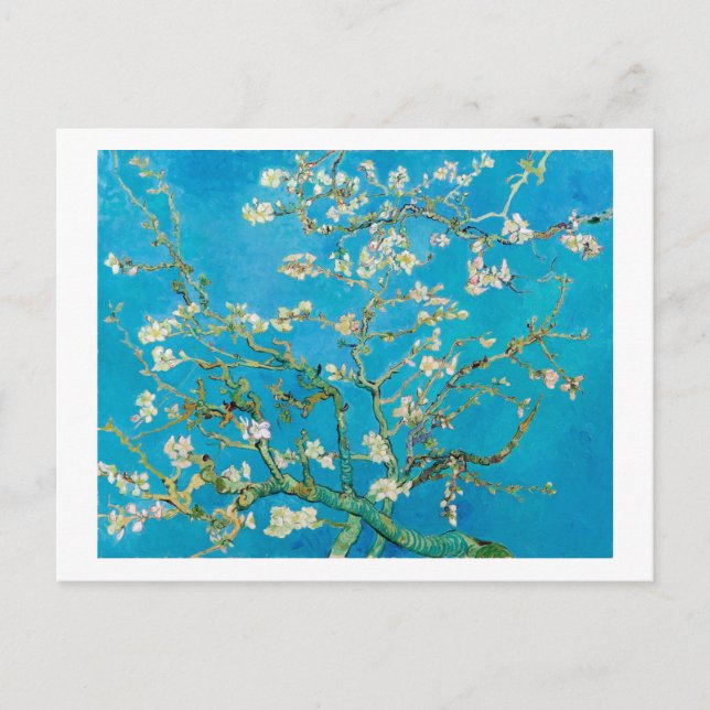 Almond Blossom, Vincent van Gogh Postcard (Front)