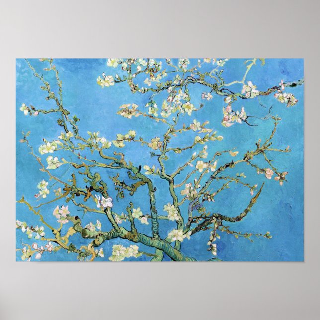 Almond Blossom Vincent Van Gogh Poster (Front)