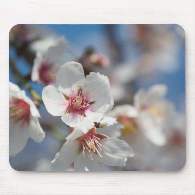 Almond blossoming mouse mat (Front)