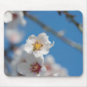 Almond blossoming mouse mat