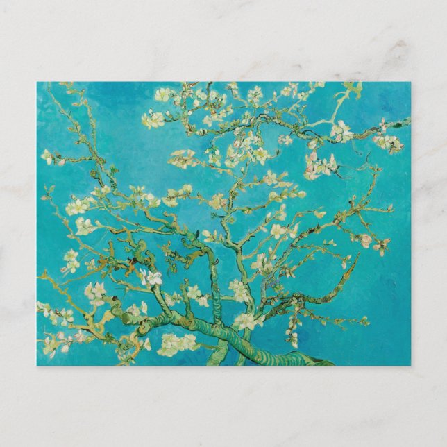 Almond Blossoms by Vincent van Gogh (1890) Postcard (Front)
