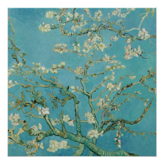 Almond Blossoms by Vincent Van Gogh Fine Art Poster