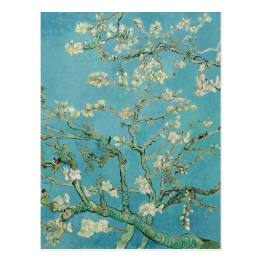 Image of Almond Blossoms by Vincent van Gogh Postcard