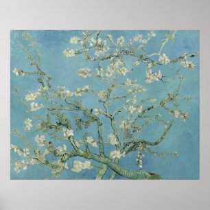 Almond Blossoms by Vincent Van Gogh Poster