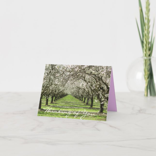Almond Blossoms Notecard (Front)