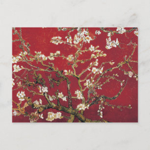 Almond Blossoms Red Vincent van Gogh Art Painting Postcard