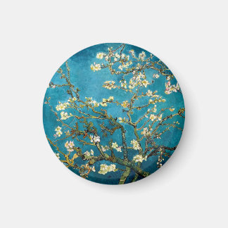 Almond Branches in Bloom Magnet