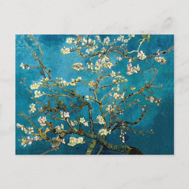Almond Branches in Bloom Post Card (Front)