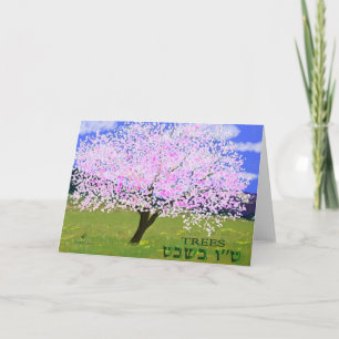 Almond in Bloom Holiday Card