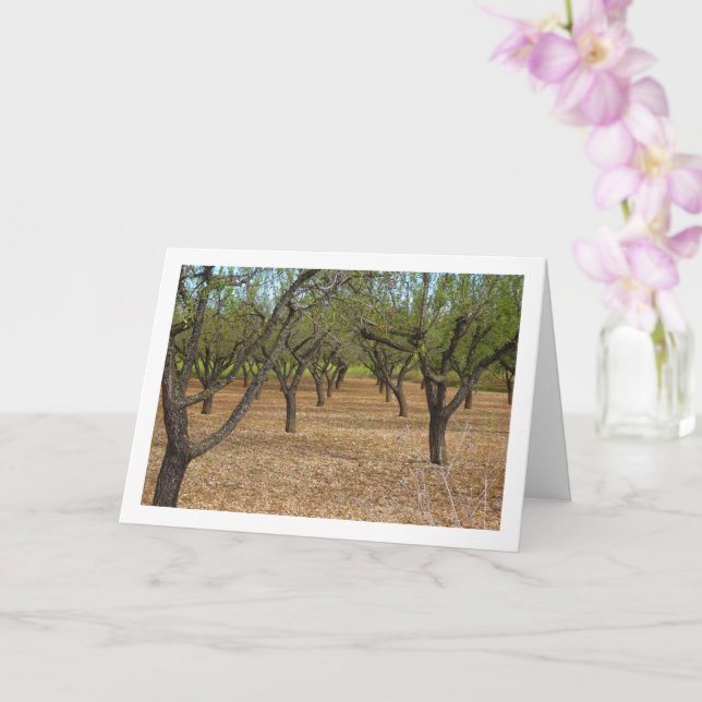 Almond Orchard Landscape Card (Orchid)