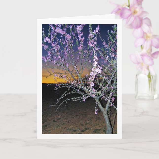Almond Tree at Night Card (Orchid)
