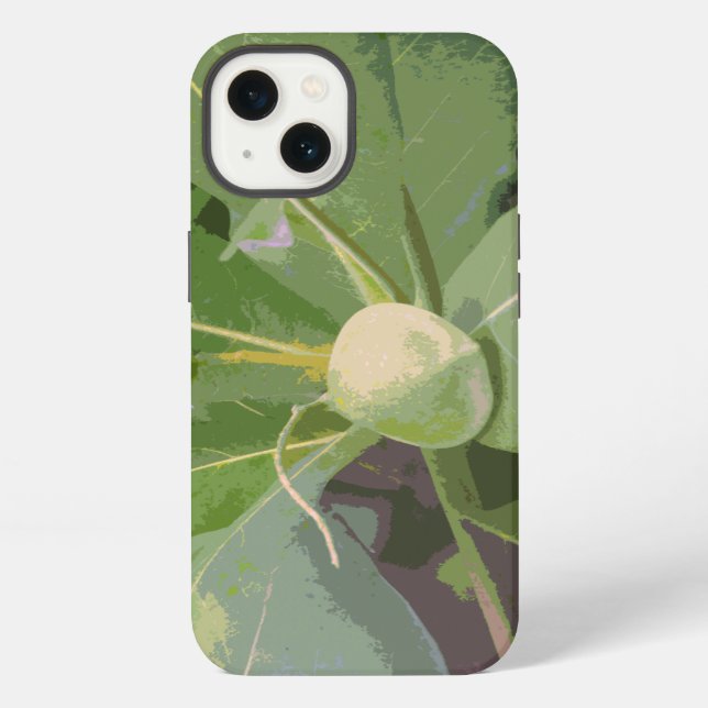Almond Tree Closeup iPhone Case (Back)