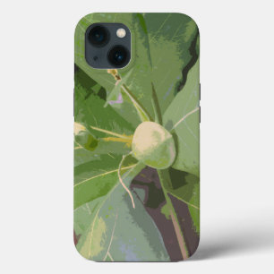 Almond Tree Closeup iPhone 13 Case