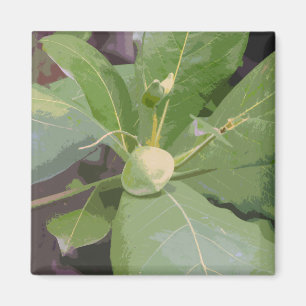 Almond Tree Closeup Magnet