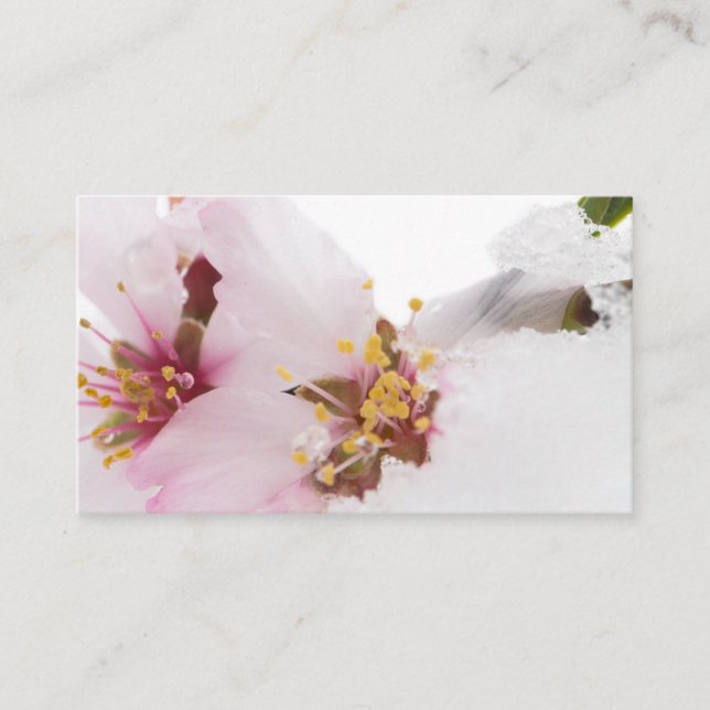 Almond tree flowers covered by snow business card (Front)