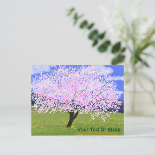 Almond Tree in Bloom Postcard