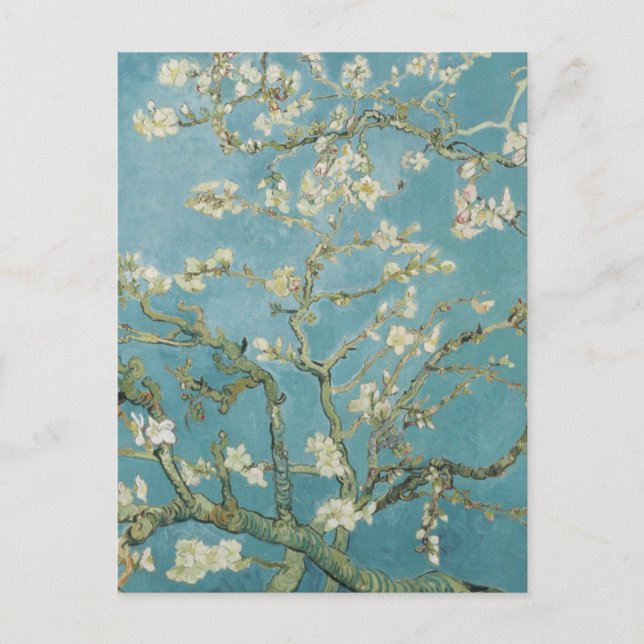 Almond tree in blossom by Vincent Van Gogh Postcard (Front)