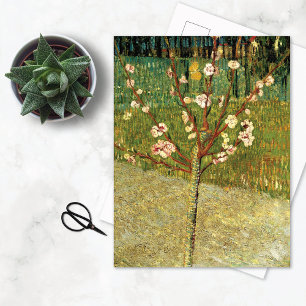 Almond Tree in Blossom Vincent van Gogh Postcard