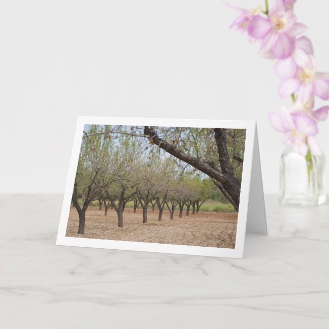 Almond Tree Orchard Card (Orchid)