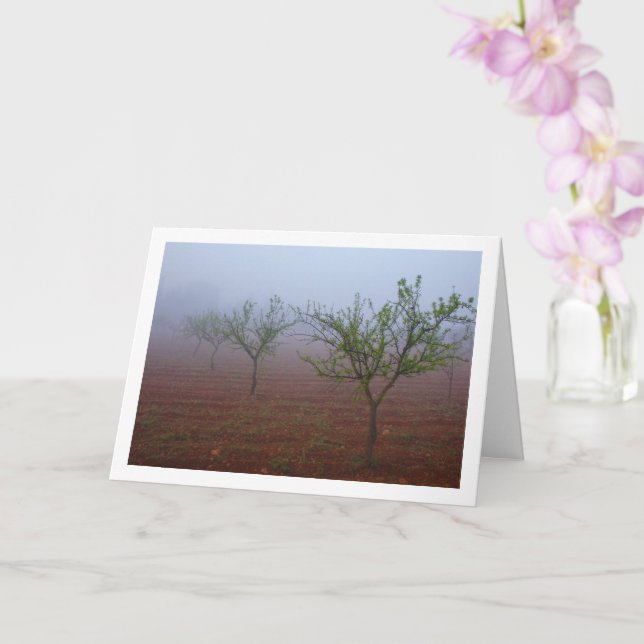 Almond Tree Orchard on Foggy Morning Card (Orchid)