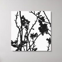 Almond Tree Outline Floral Botanical Photography