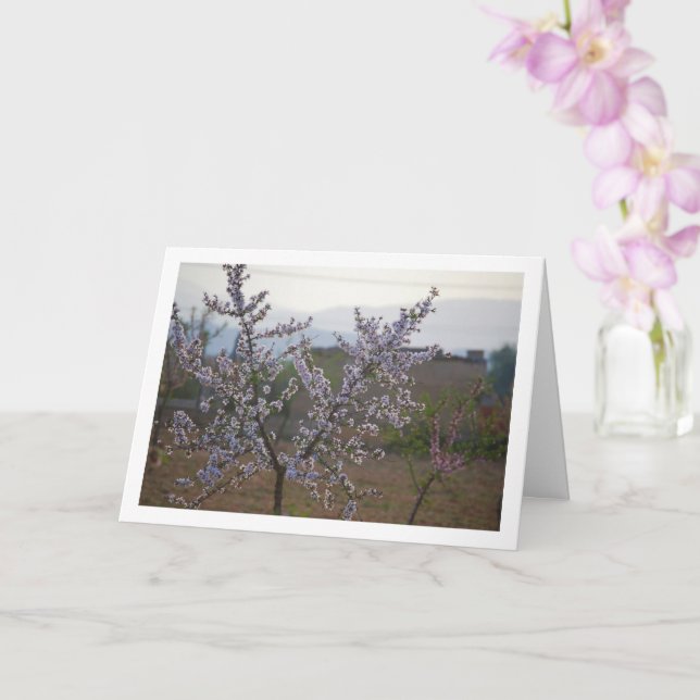 Almond Tree with Blossom Card (Orchid)