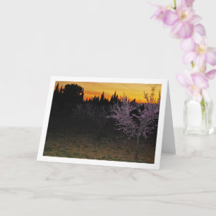 Almond Trees at Night Portrait Card
