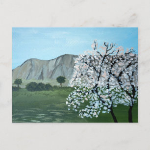 Almond trees in blossom   Italy, Sicily   Mountain Postcard