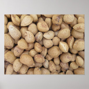 Almonds Fall Autumn Patterns Poster