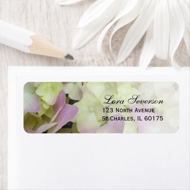 Almost Pink Hydrangea Flowers Return Address (Insitu)