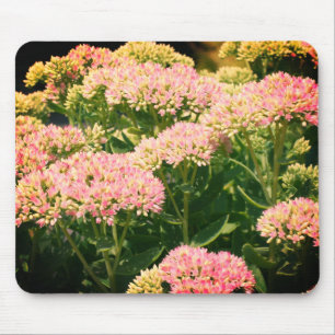 Almost Sedum Flower Mouse Mat
