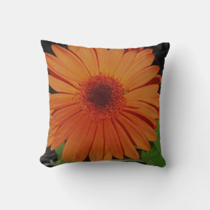 almost solid orange pillow, orange gerber daisy cushion
