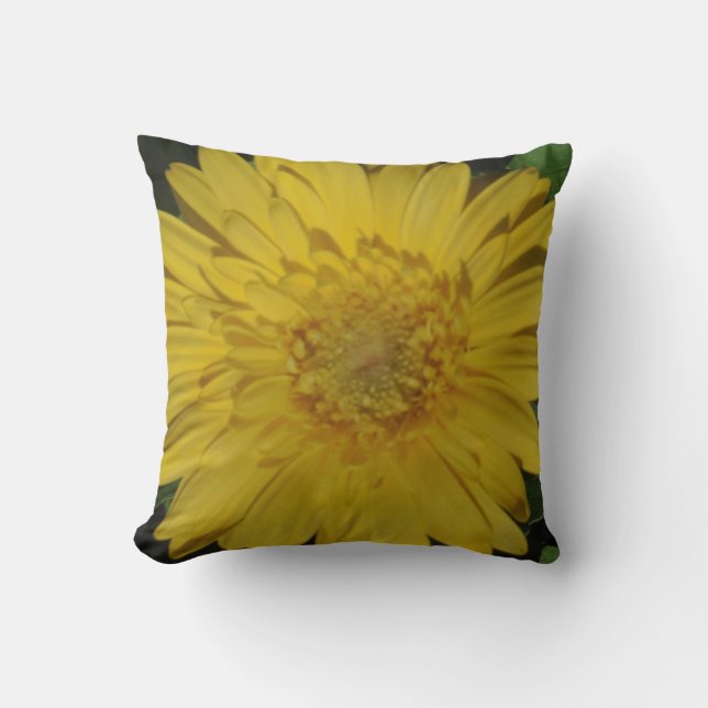 almost solid yellow gerber daisy pillow (Front)