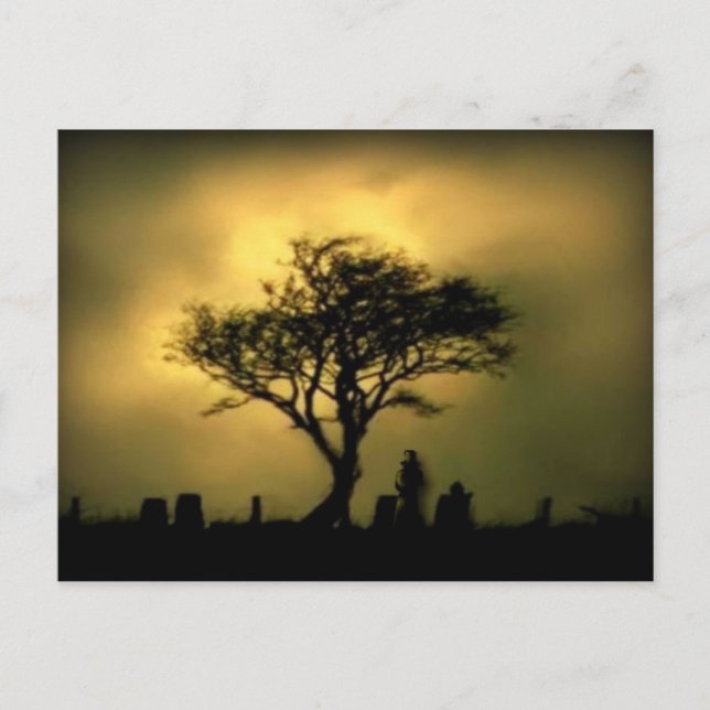 Almost Sunset Postcard (Front)