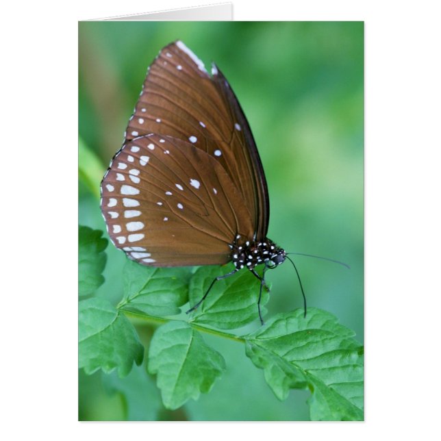 Almost There (Front)