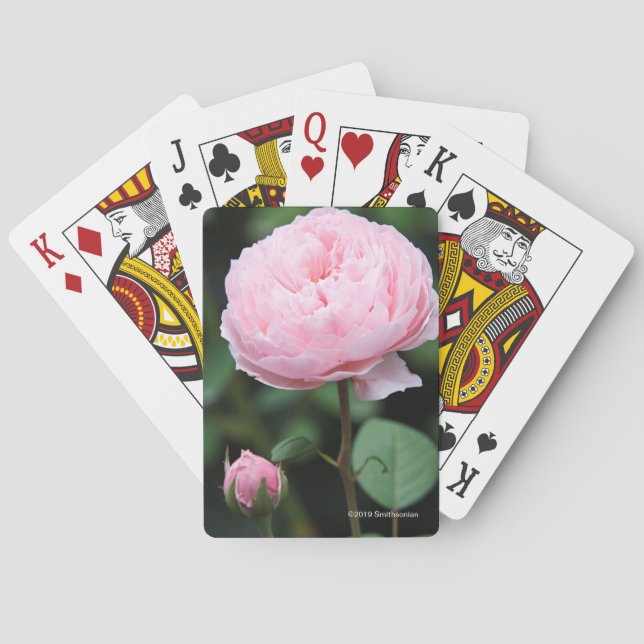 Alnwick Castle Rose Playing Cards (Back)