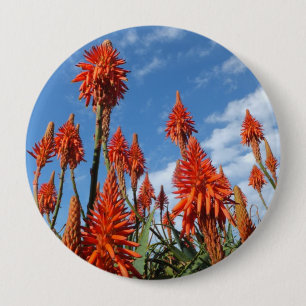 Aloe Arborescens button