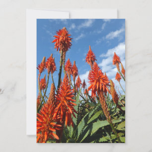 Aloe Arborescens invitation, customise Invitation