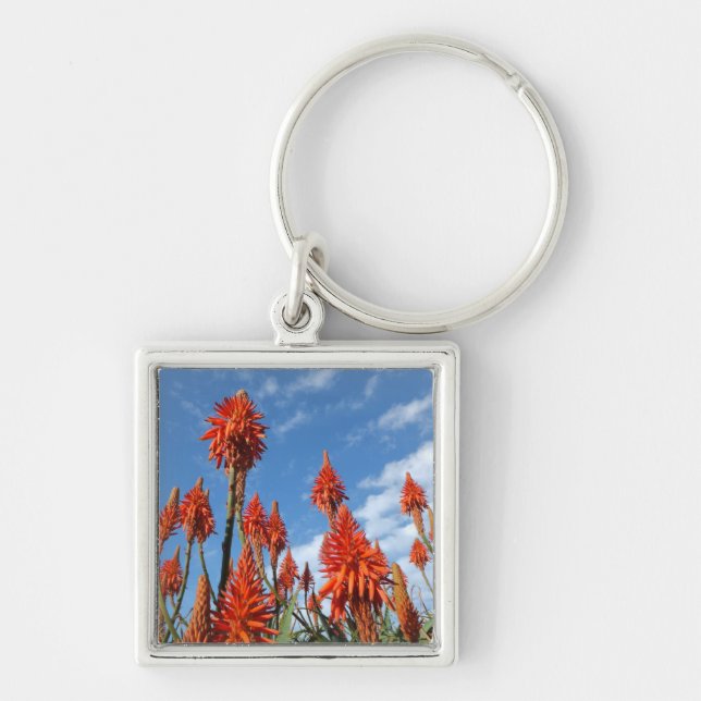 Aloe Arborescens key chain (Front)