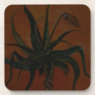 Aloe Coaster