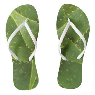 Aloe Flip Flops
