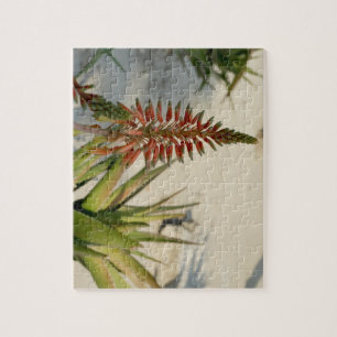 Aloe Flower Blossom Photo Puzzle with Gift Box