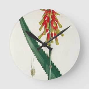 Aloe from 'Phytographie Medicale' by Joseph Roques Round Clock