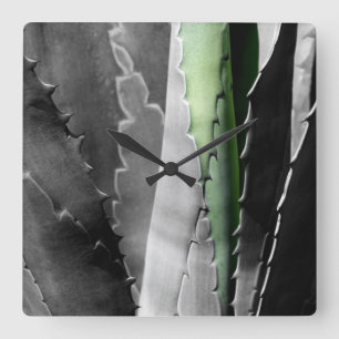 Aloe - Macro Fine Art Photograph in Black & White Square Wall Clock